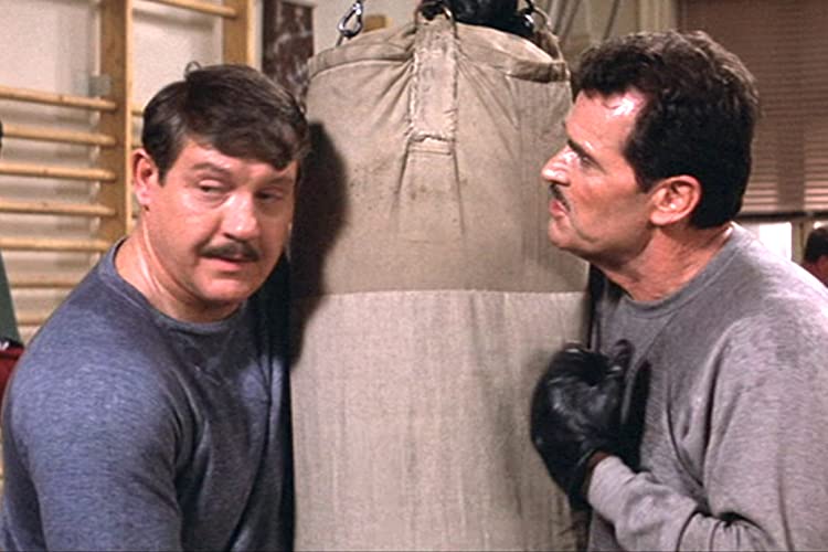 ビクター／ビクトリアの画像