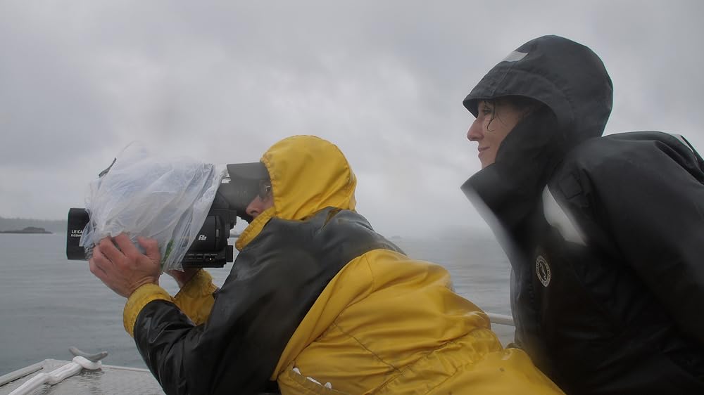 ブラックフィッシュの画像