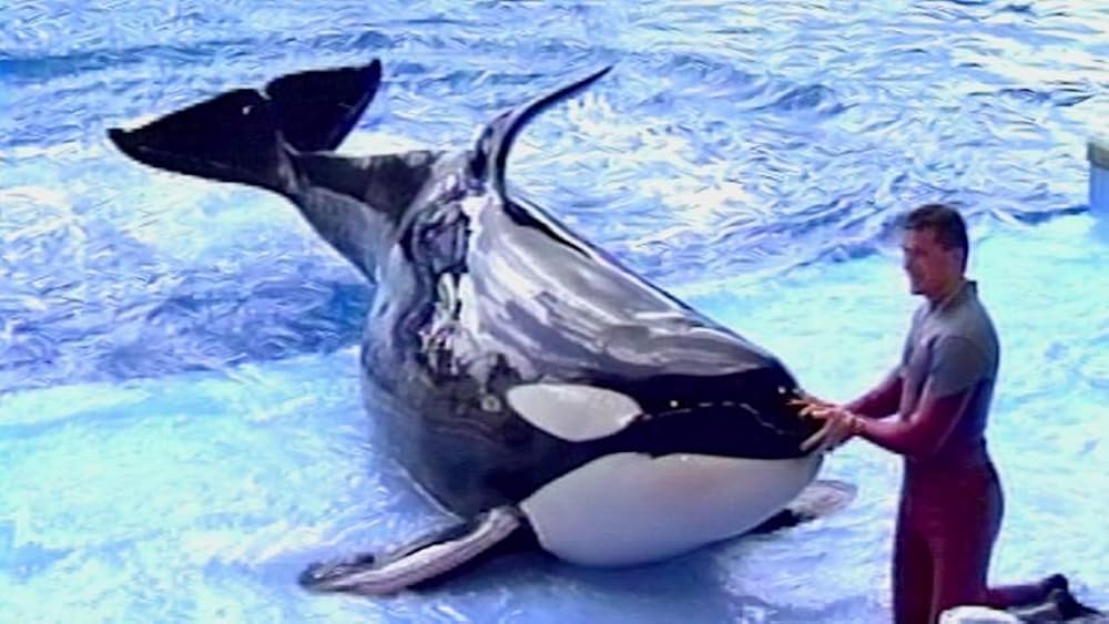 ブラックフィッシュの画像