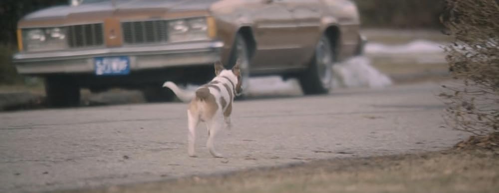 ライフ・オブ・クライムの画像