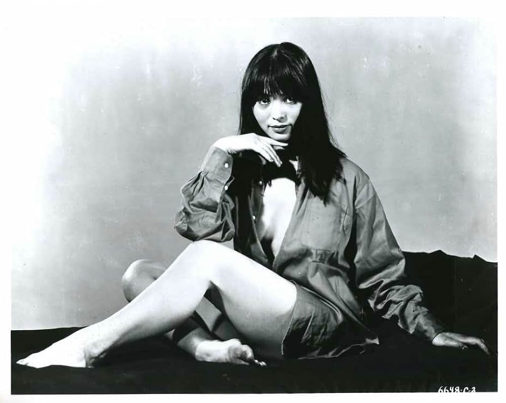 What's Up, Tiger Lily?（原題）の画像