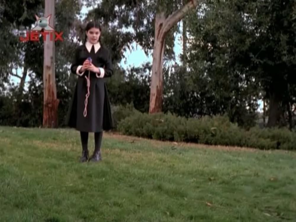 アダムス・ファミリー サン再結集の画像