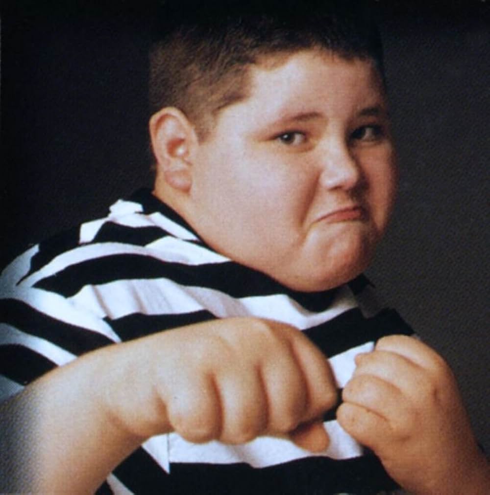 アダムス・ファミリー サン再結集の画像