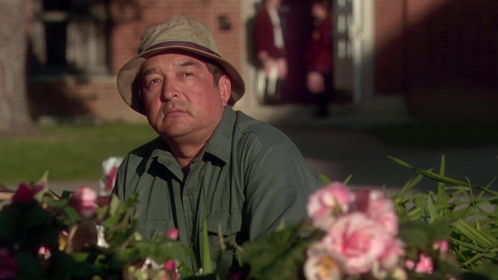 翼をくださいの画像