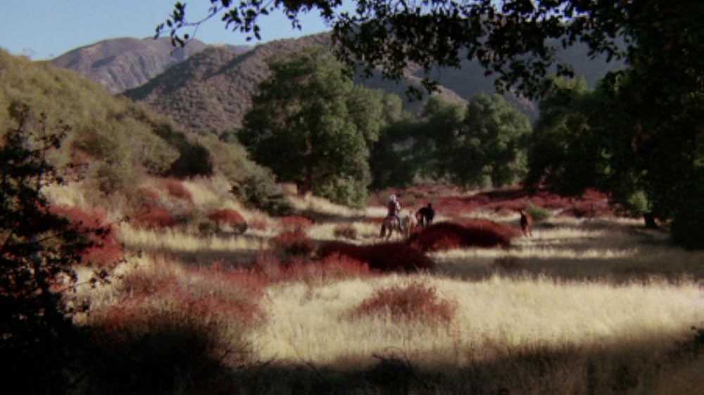 トラックダウンの画像