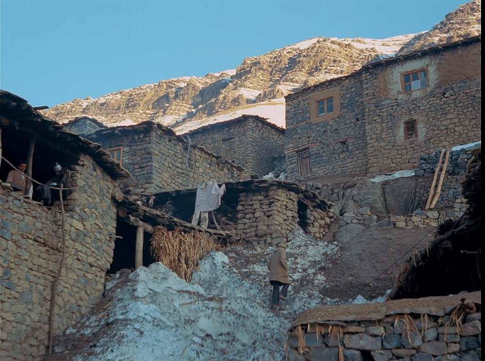 ハッカリの季節の画像