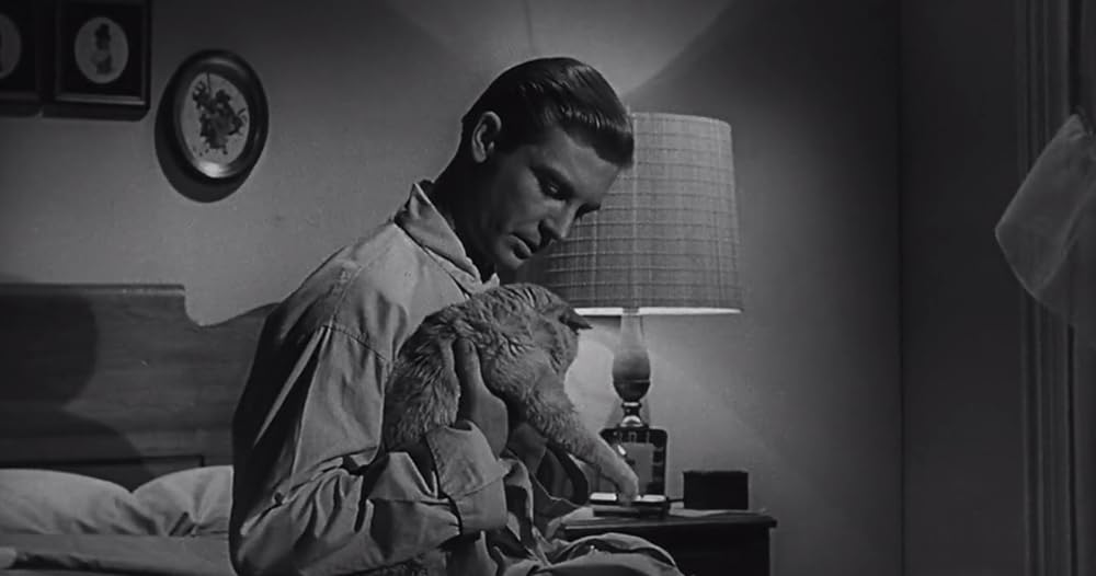 縮みゆく人間の画像