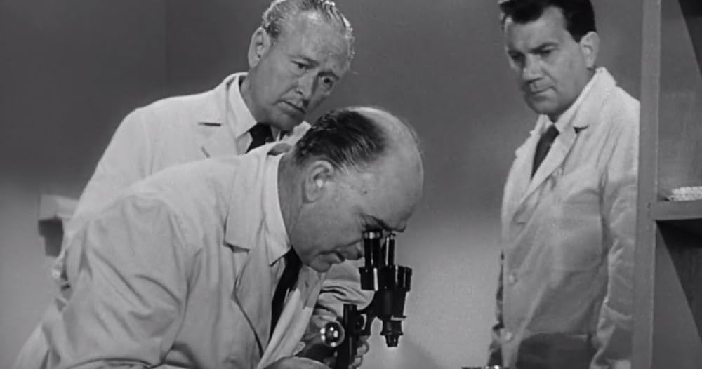 縮みゆく人間の画像