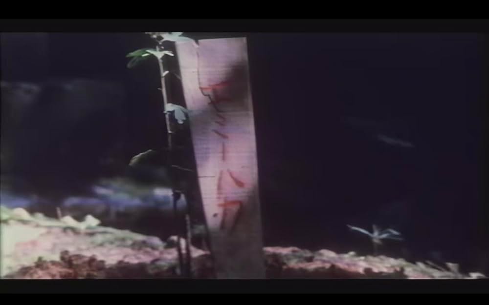 子どものころ戦争があったの画像