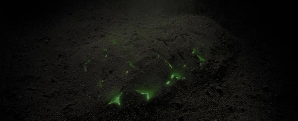 BONES ボーンズの画像