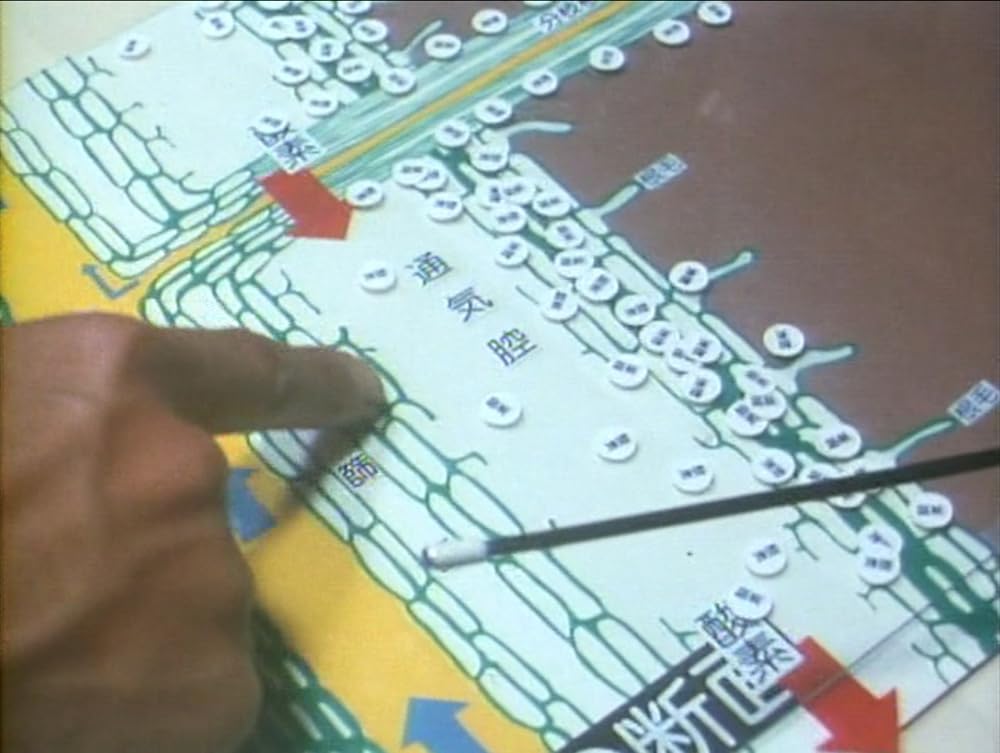 ニッポン国 古屋敷村の画像