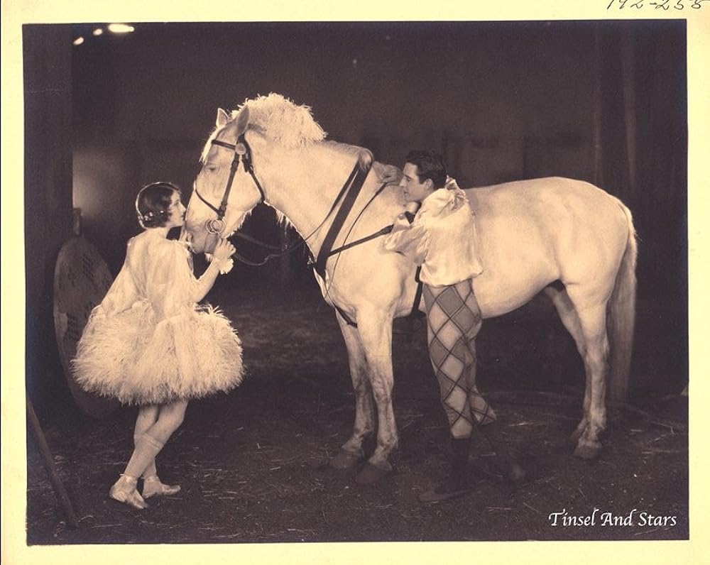 殴られる彼奴（あいつ）の画像