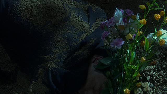 カタクリ家の幸福の画像