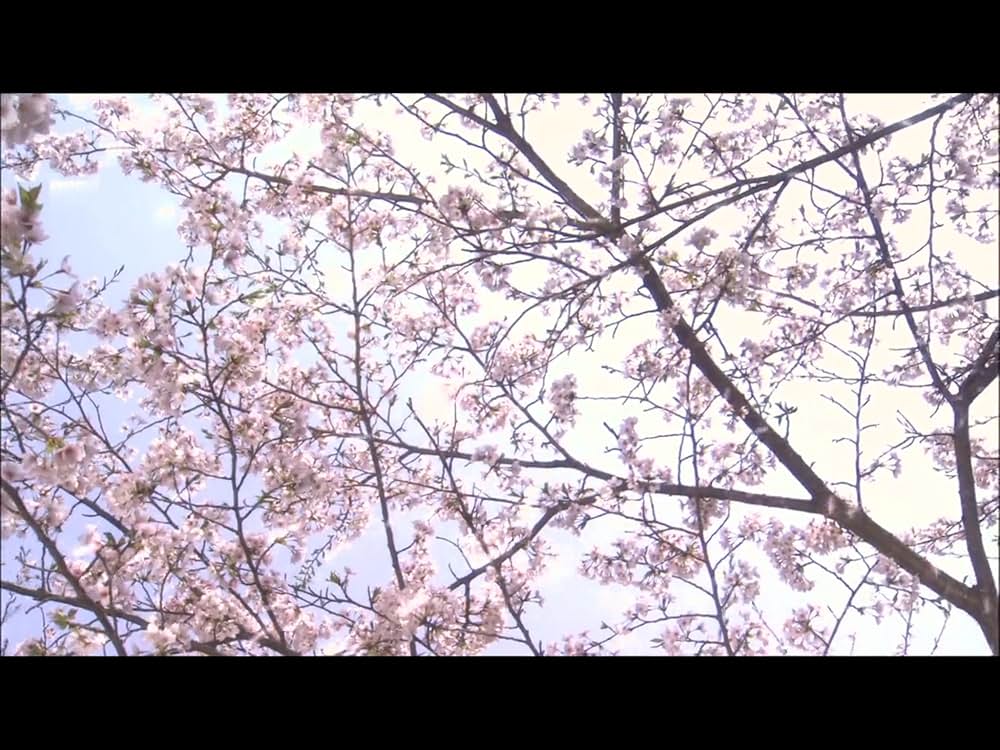 カタクリ家の幸福の画像