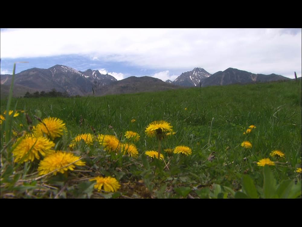 カタクリ家の幸福の画像