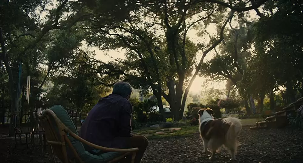 ビューティフル・ボーイの画像