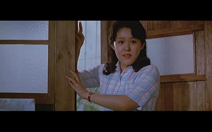 男はつらいよ 浪花の恋の寅次郎の画像