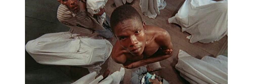 ヤコペッティの 残酷大陸の画像