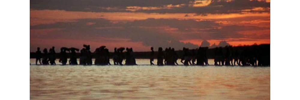 ヤコペッティの 残酷大陸の画像