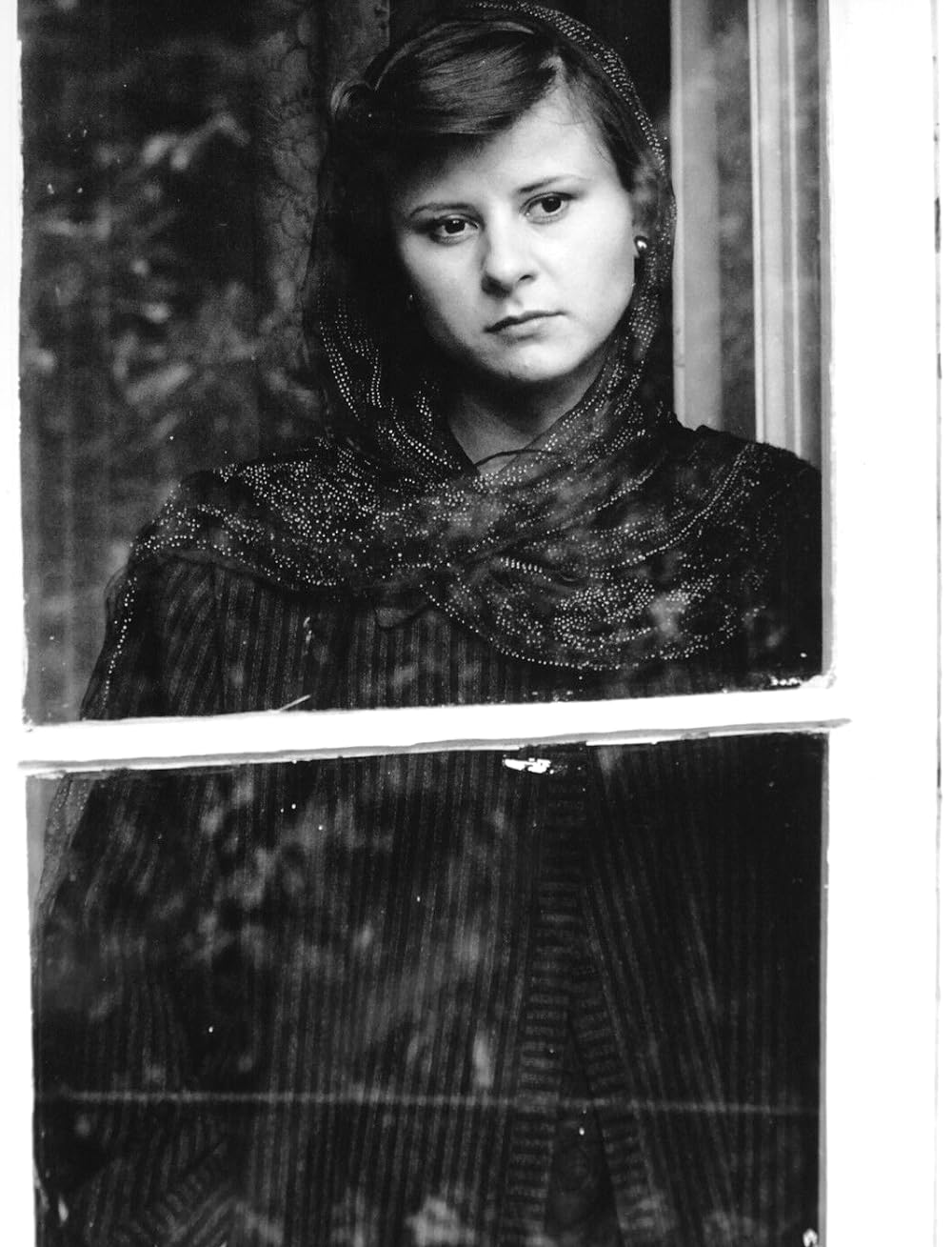 プレンティの画像