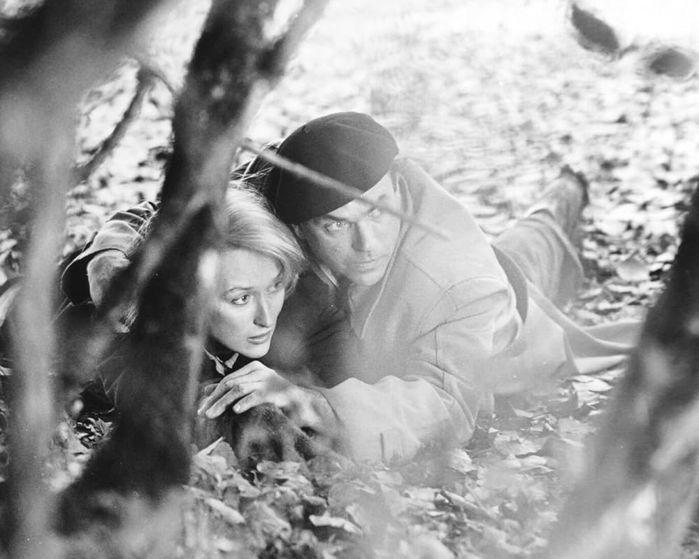 プレンティの画像