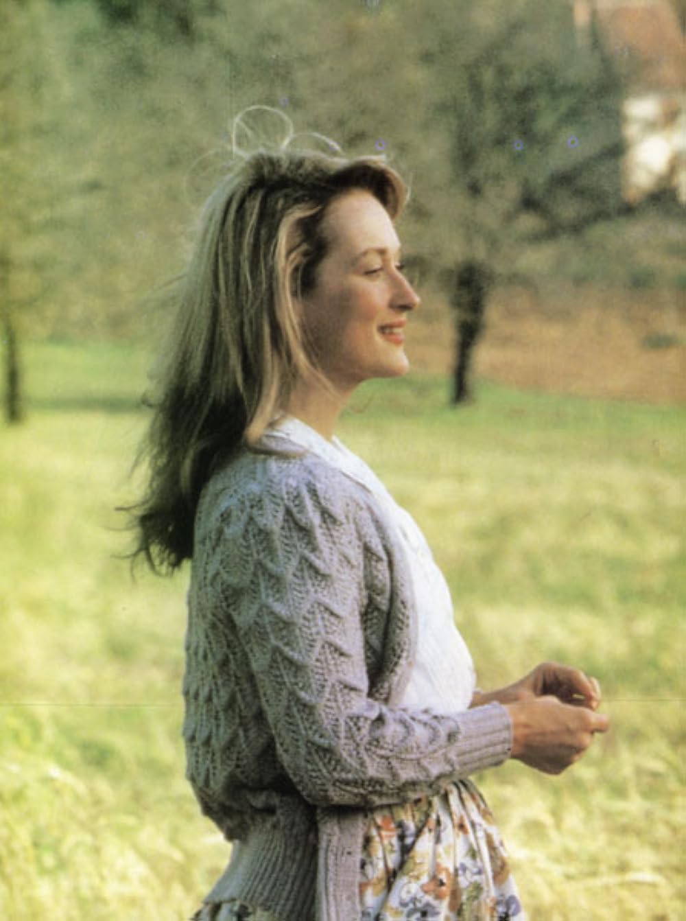 プレンティの画像