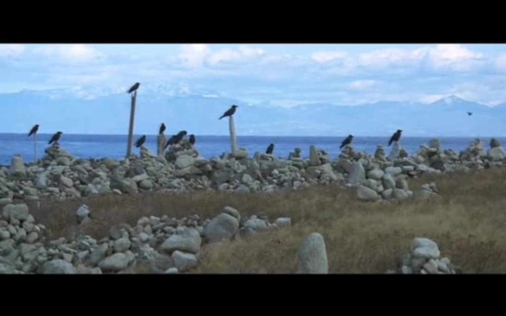 男はつらいよ 寅次郎かもめ歌の画像