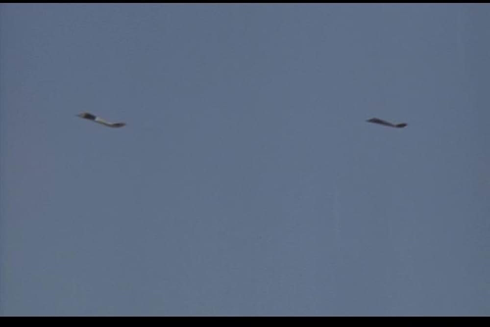 インターセプターの画像