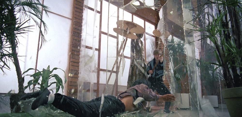 レディ・ハード／香港大捜査線の画像