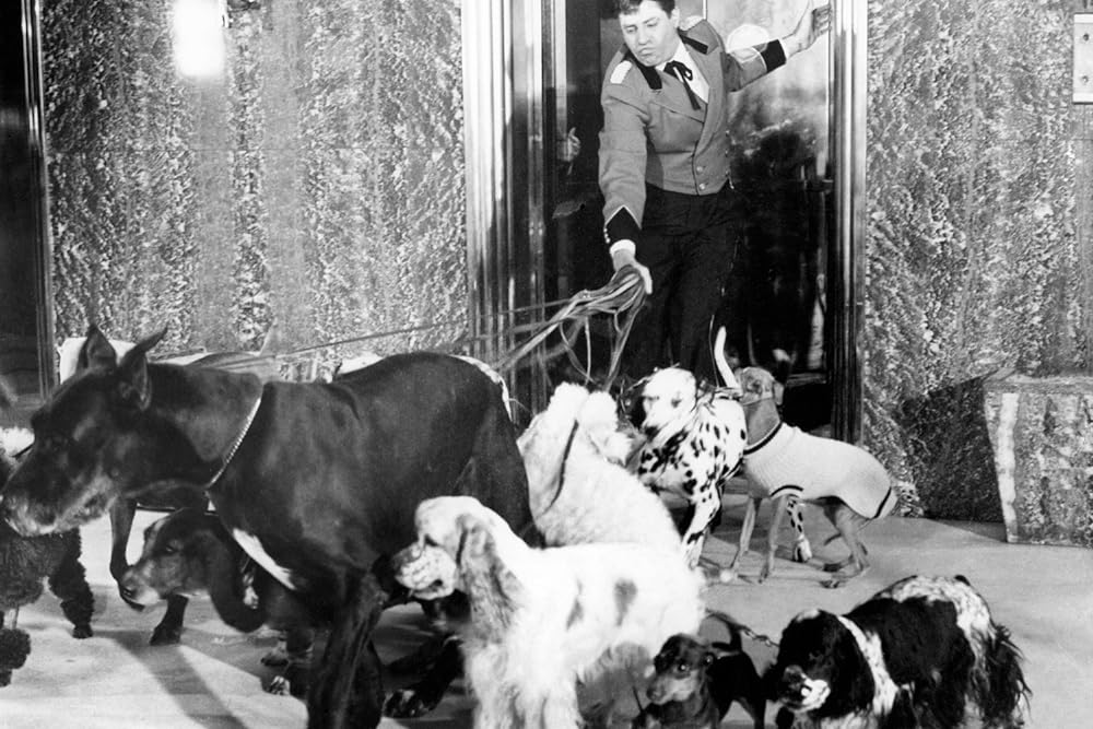 底抜けてんやわんやの画像