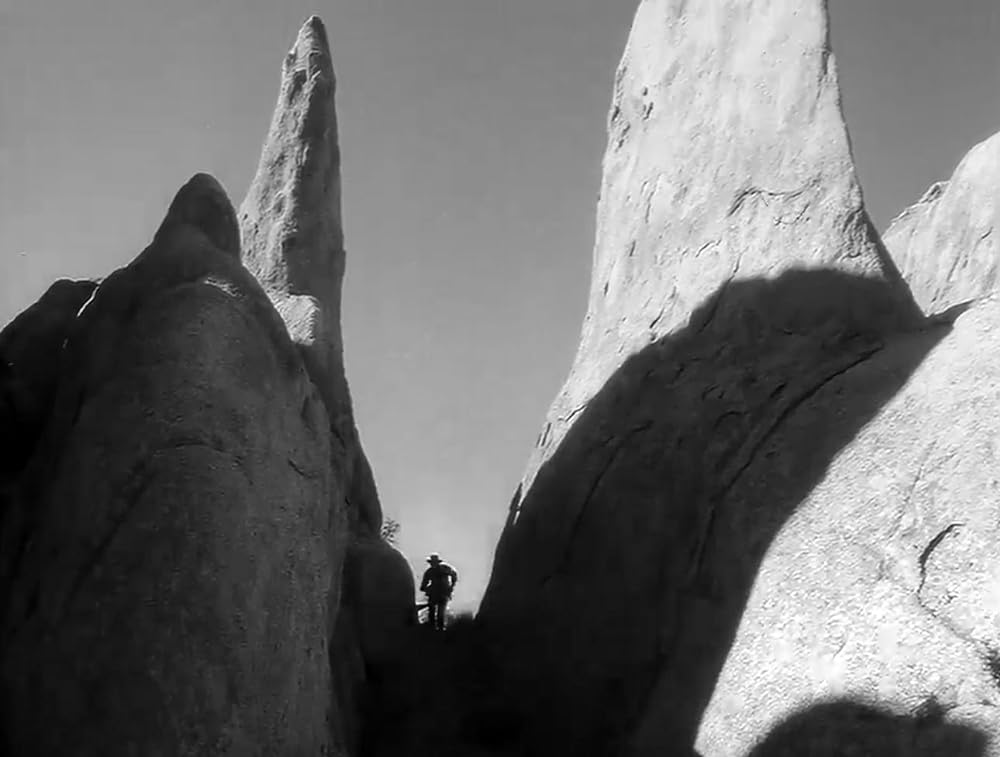 廃墟の群盗の画像