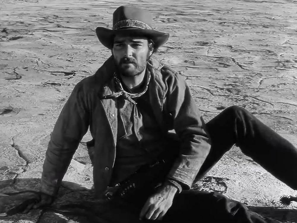 廃墟の群盗の画像