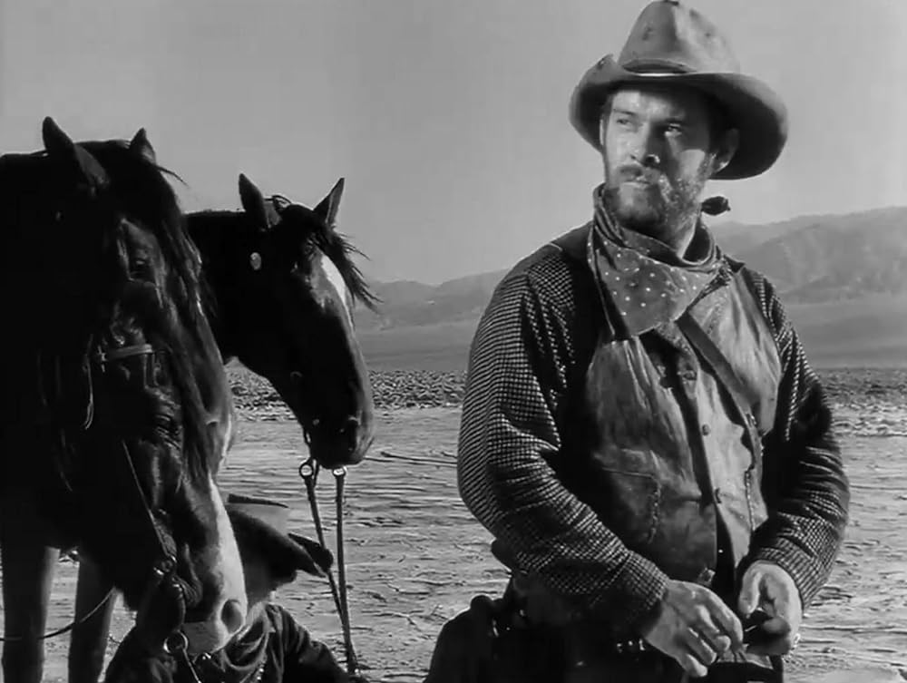 廃墟の群盗の画像