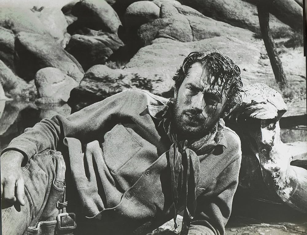 廃墟の群盗の画像