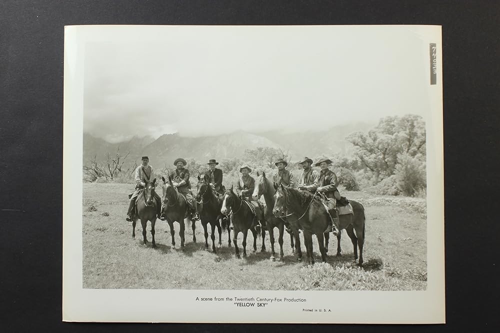 廃墟の群盗の画像