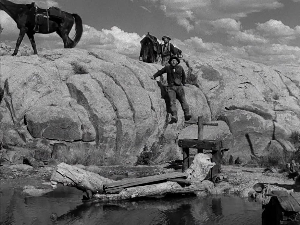 廃墟の群盗の画像