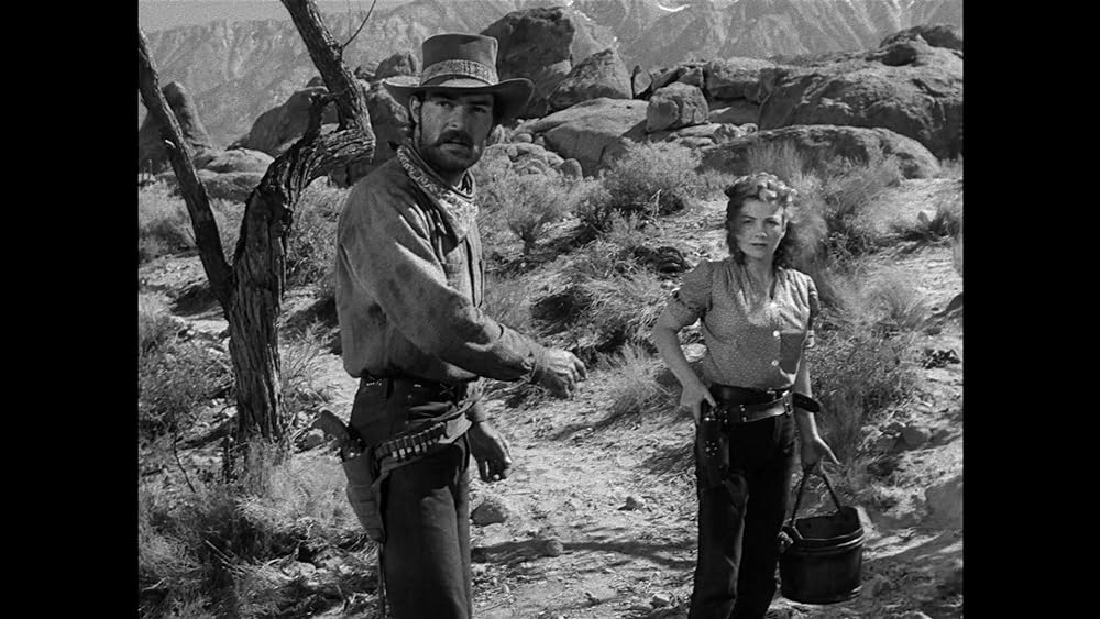 廃墟の群盗の画像