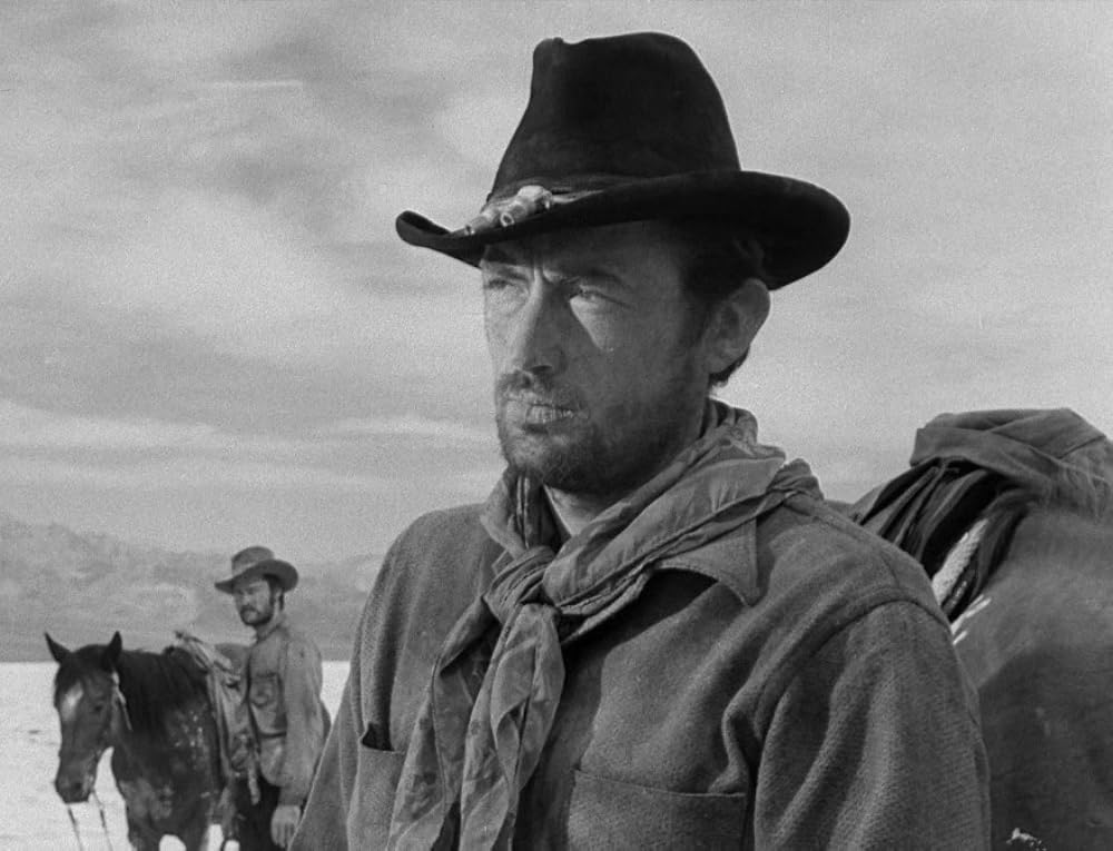 廃墟の群盗の画像