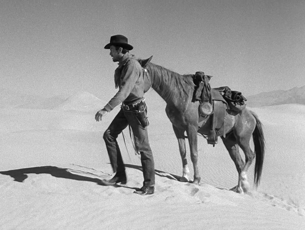 廃墟の群盗の画像