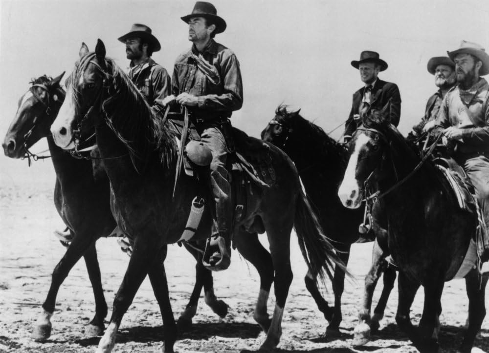 廃墟の群盗の画像