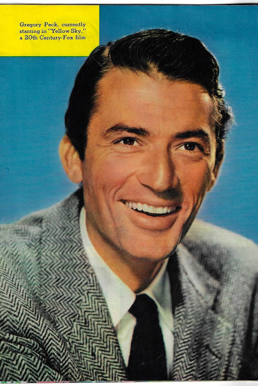 廃墟の群盗の画像