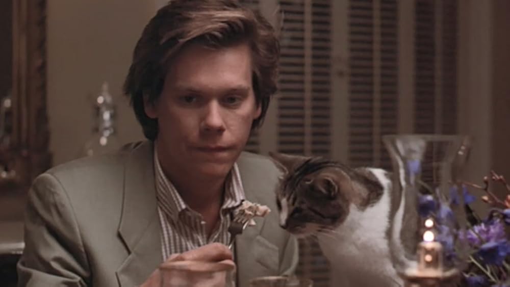 結婚の条件の画像