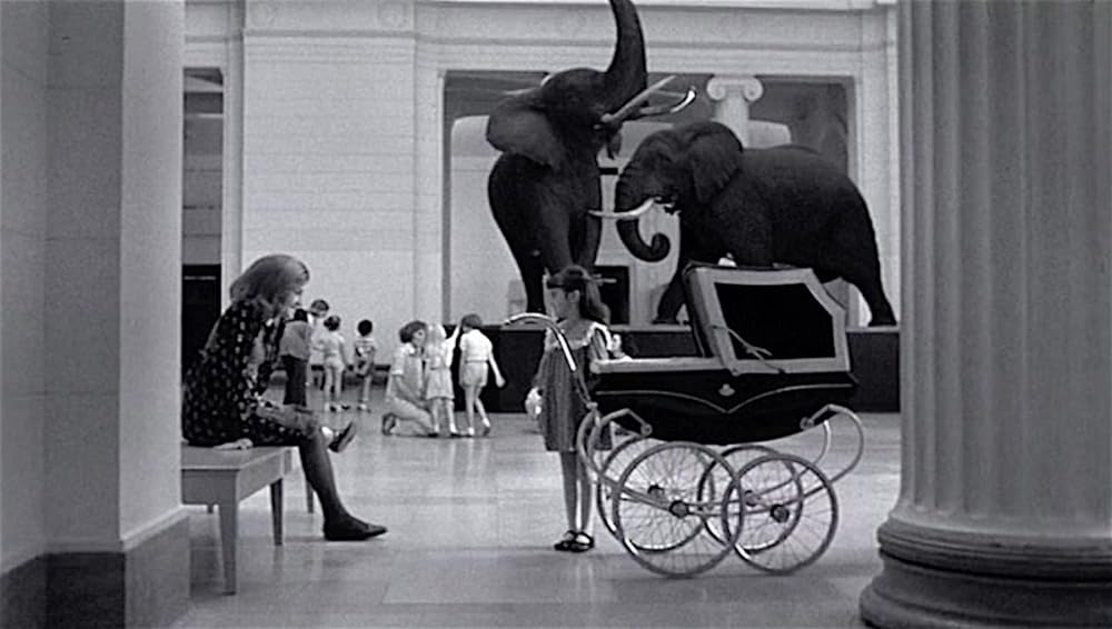 結婚の条件の画像