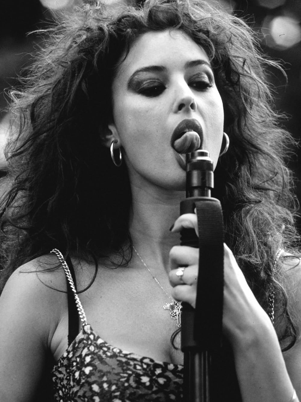 ドーベルマンの画像