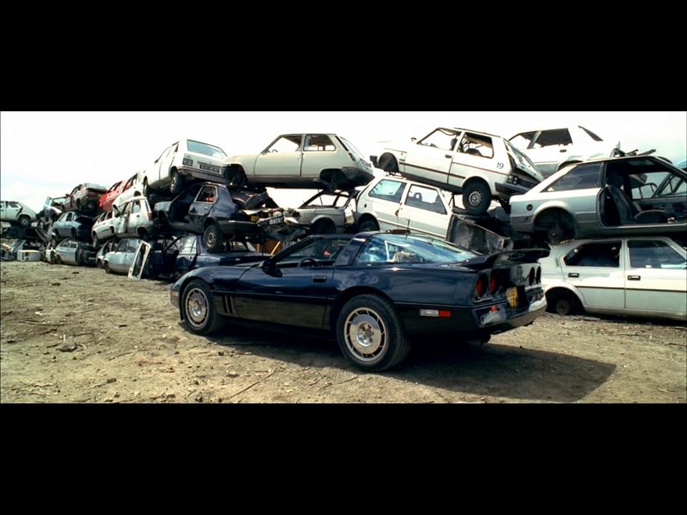 ドーベルマンの画像