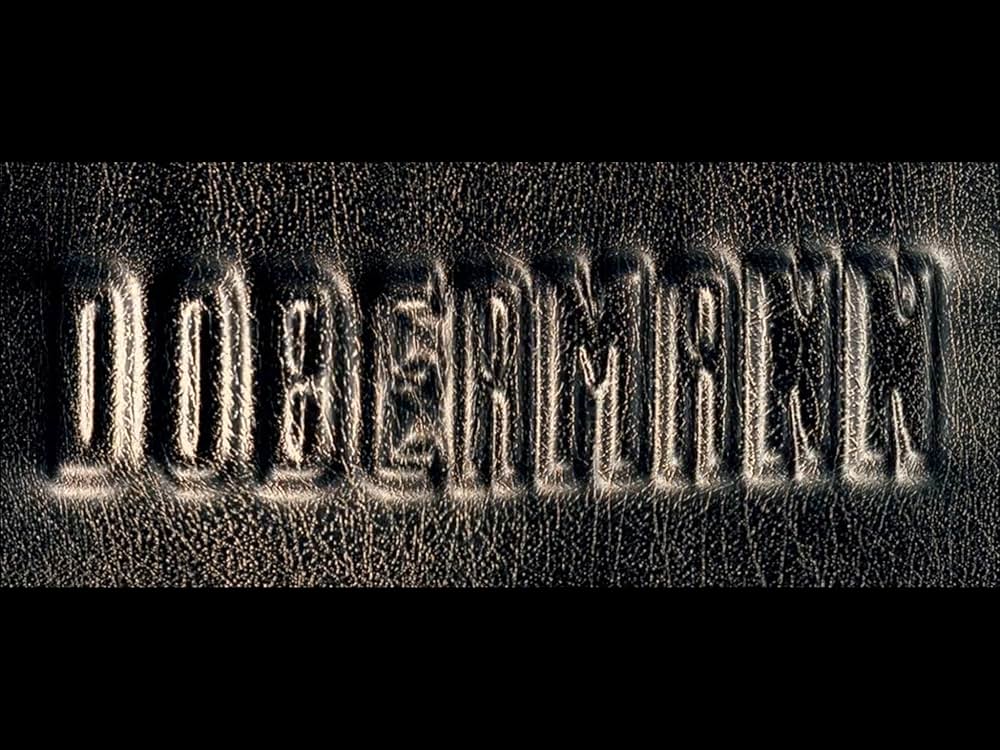 ドーベルマンの画像