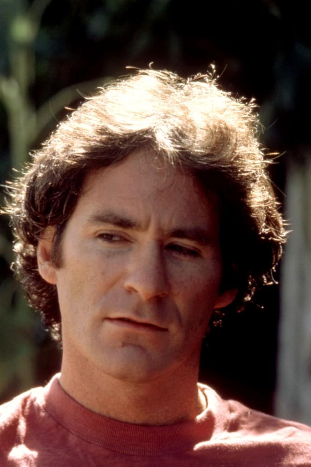 すみれは、ブルーの画像