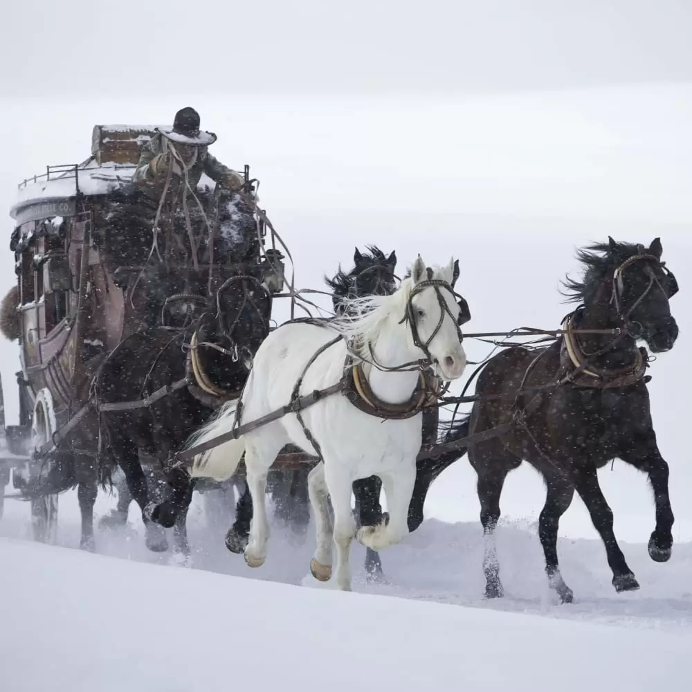 ヘイトフル・エイトの画像