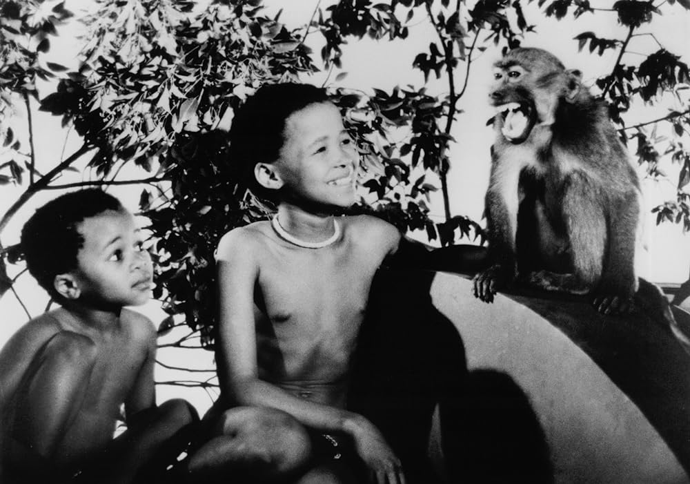 ミラクル・ワールド／ブッシュマンの画像