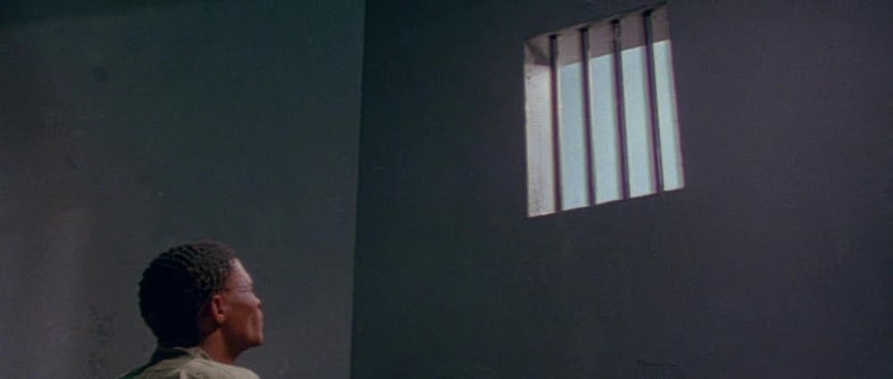 ミラクル・ワールド／ブッシュマンの画像